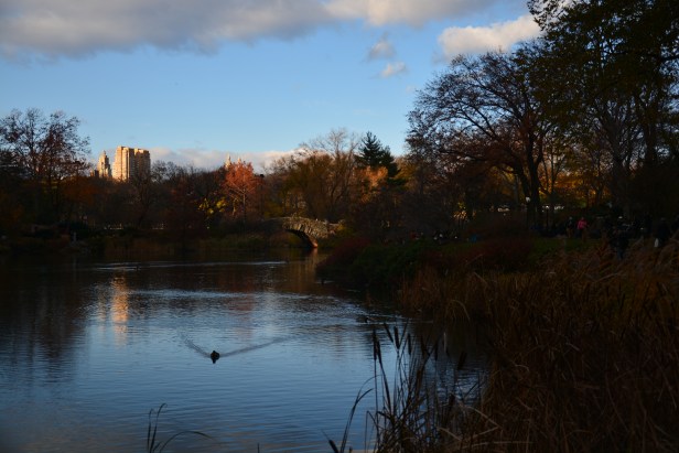 DSC_1062.JPG
