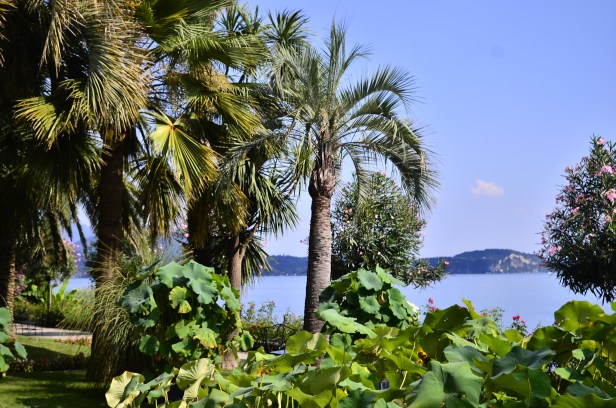 scorci tropicali