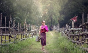 Foto di <a href="https://pixabay.com/it/users/sasint-3639875/?utm_source=link-attribution&utm_medium=referral&utm_campaign=image&utm_content=1822642">Sasin Tipchai</a> da <a href="https://pixabay.com/it/?utm_source=link-attribution&utm_medium=referral&utm_campaign=image&utm_content=1822642">Pixabay</a>
