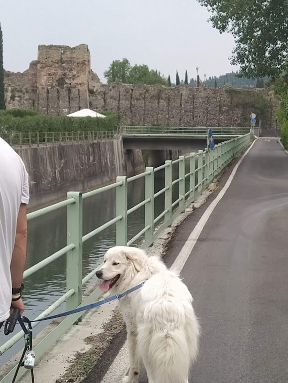 A passeggio per Borghetto sul Mincio